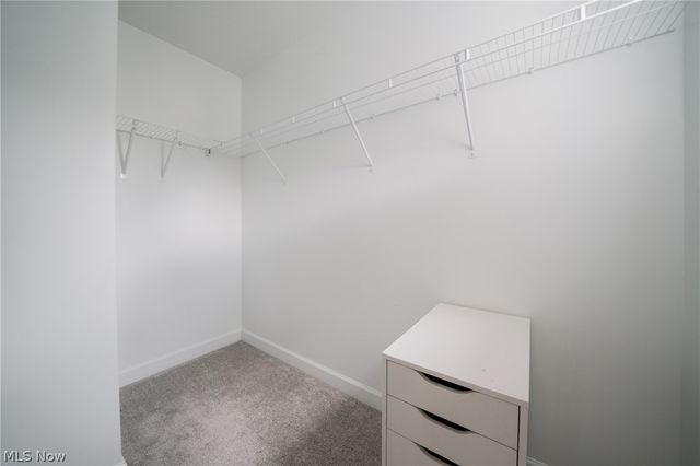 12027 Wade Park Avenue, Cleveland, OH 44106