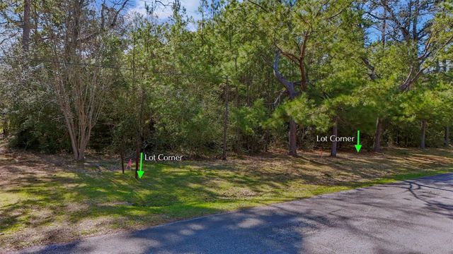 15245 Shady Oaks Drive, Stagecoach, TX 77355