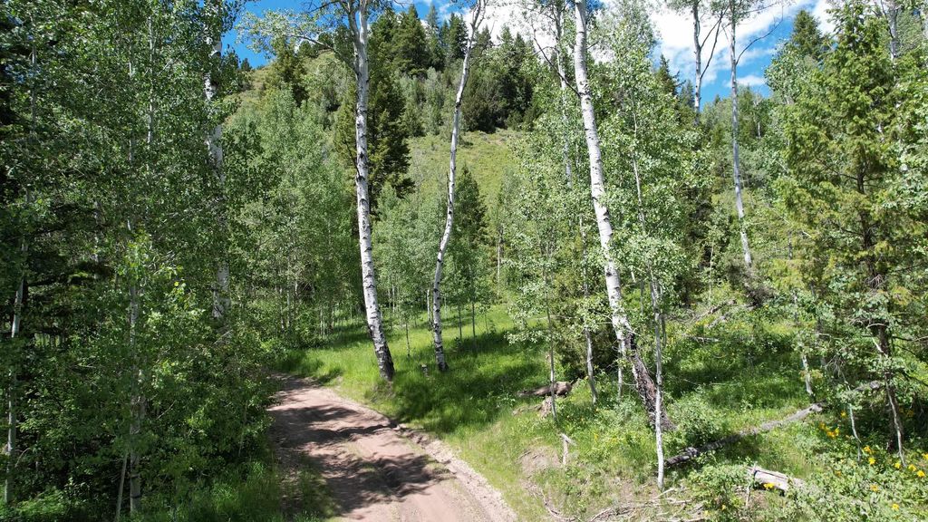 TBD Bull Canyon Road, Rockland, ID 83271 photo 6