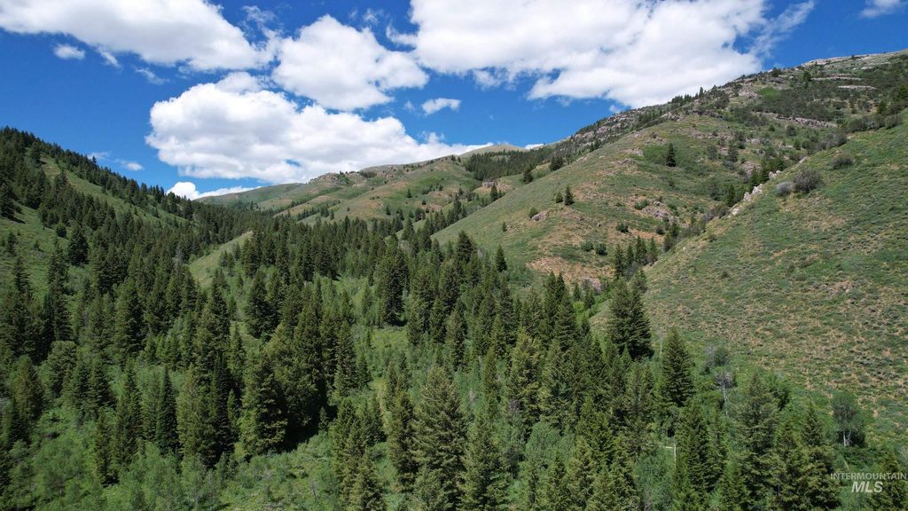 TBD Bull Canyon Road, Rockland, ID 83271 photo 8