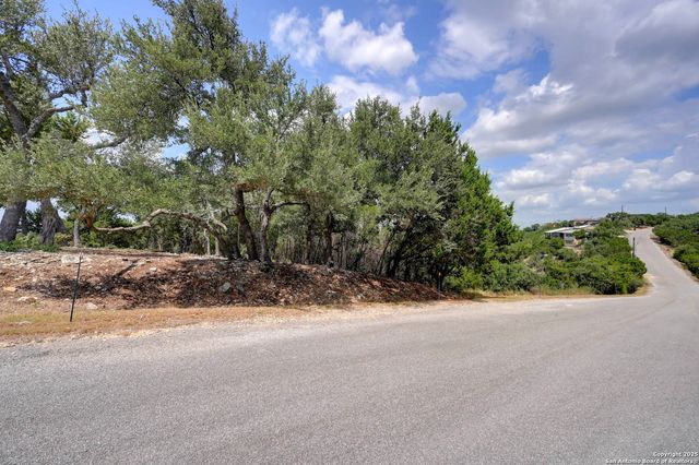 1081 Eagle Point, Fischer, TX 78623