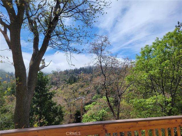 177 Craghill, Cedar Glen, CA 92321