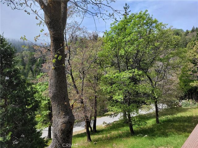 177 Craghill, Cedar Glen, CA 92321