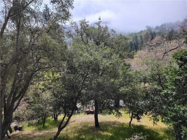 177 Craghill, Cedar Glen, CA 92321