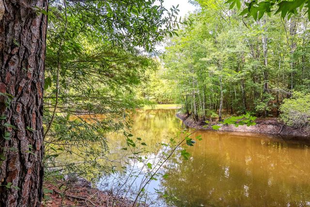 13290 Pee Dee Rd. S, Galivants Ferry, SC 29544