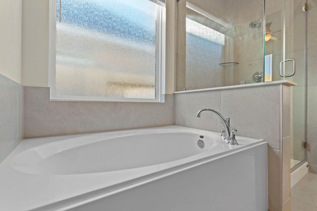 21510 Witham Promenade Lane, Magnolia, TX 77355