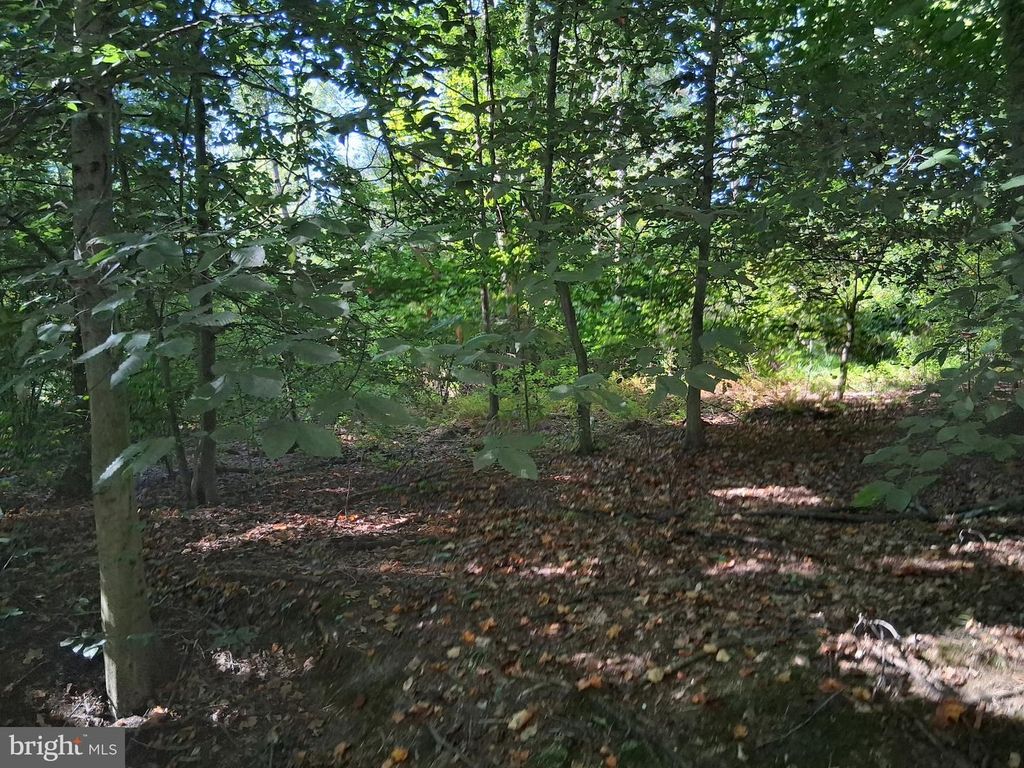 419 COKESBURY RD, Port Deposit, MD 21904