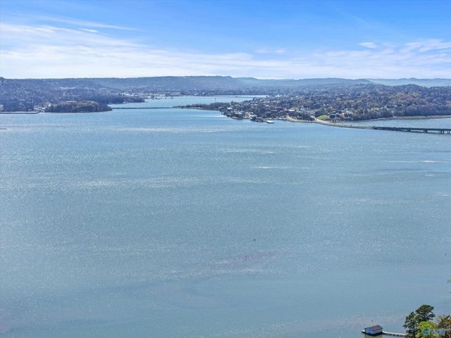 15 Pine Dale Drive, Guntersville, AL 35976