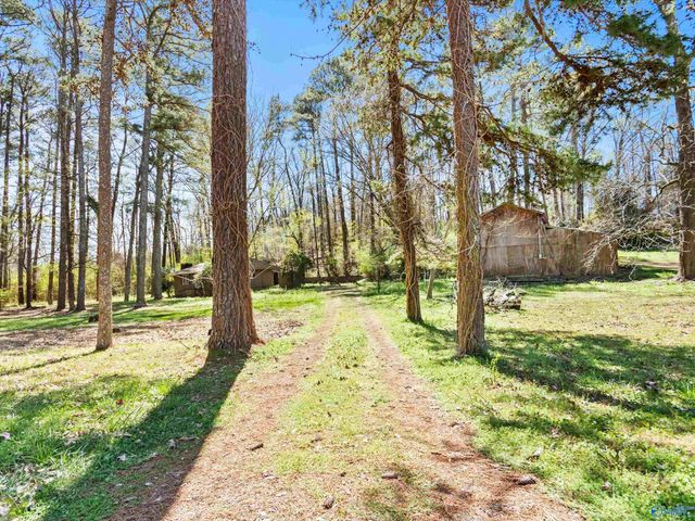 15 Pine Dale Drive, Guntersville, AL 35976