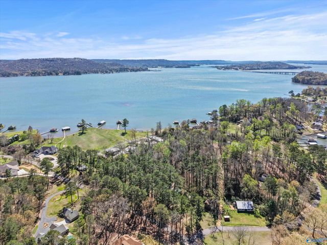 15 Pine Dale Drive, Guntersville, AL 35976