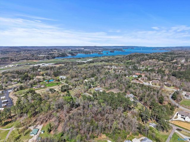 15 Pine Dale Drive, Guntersville, AL 35976