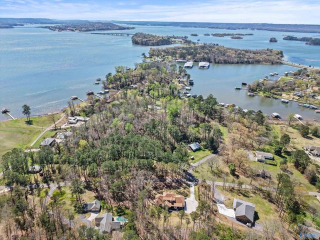 15 Pine Dale Drive, Guntersville, AL 35976