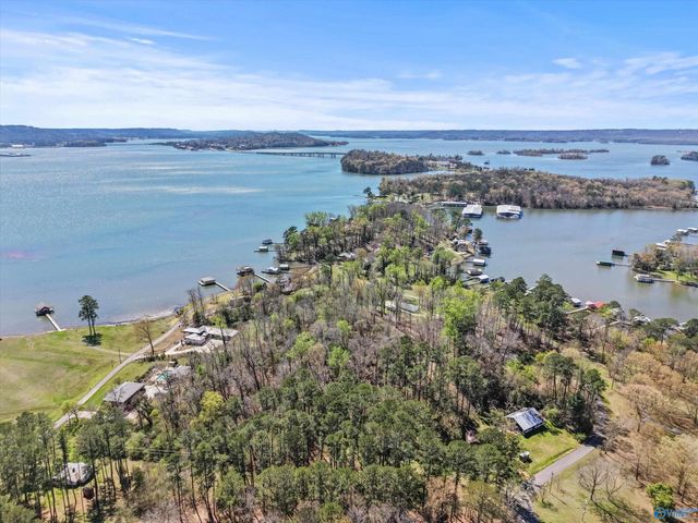 15 Pine Dale Drive, Guntersville, AL 35976