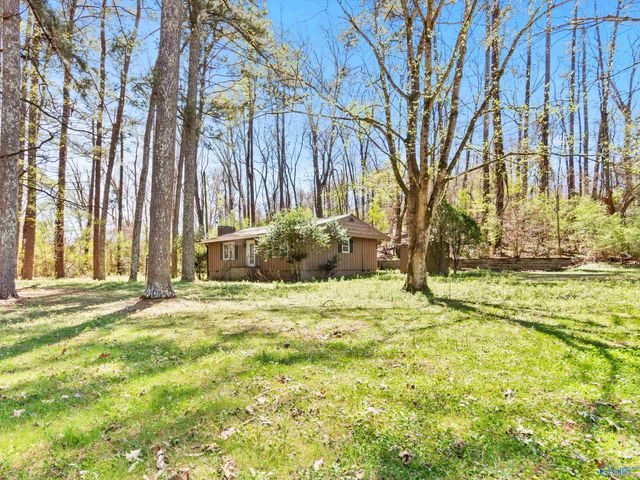 15 Pine Dale Drive, Guntersville, AL 35976