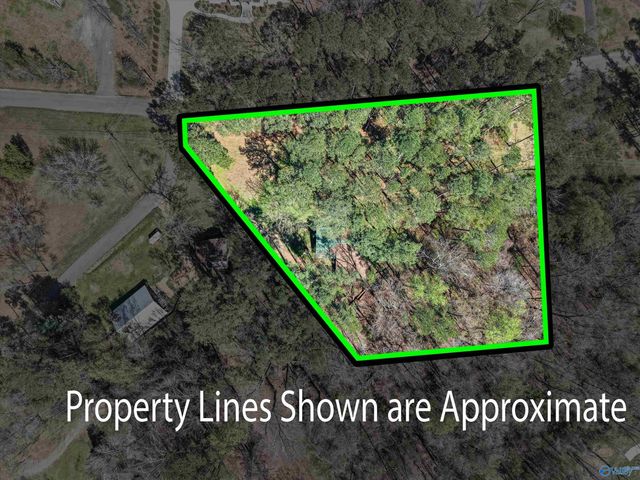 15 Pine Dale Drive, Guntersville, AL 35976