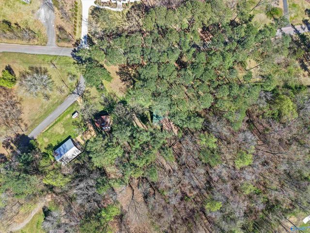 15 Pine Dale Drive, Guntersville, AL 35976