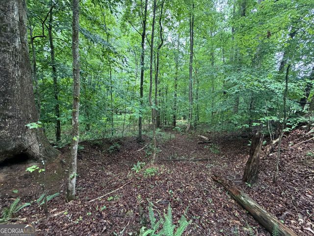 2 ACRES Pettit Road, Jasper, GA 30143