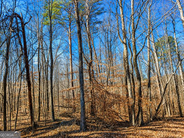 2 ACRES Pettit Road, Jasper, GA 30143