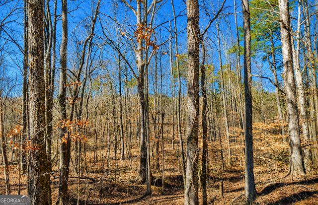 2 ACRES Pettit Road, Jasper, GA 30143