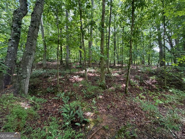 2 ACRES Pettit Road, Jasper, GA 30143
