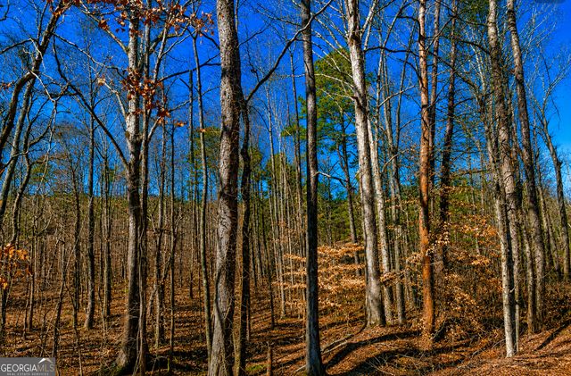 2 ACRES Pettit Road, Jasper, GA 30143