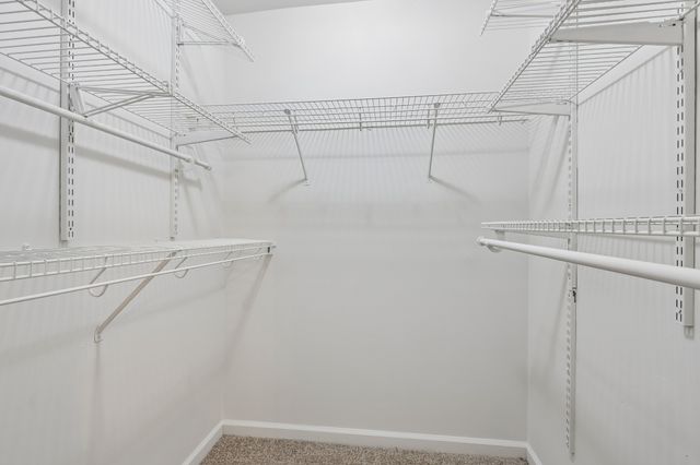246 Senator Dr, Clarksville, TN 37042
