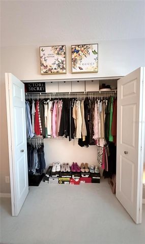 6517 SPRING OAK COURT, Tampa, FL 33625