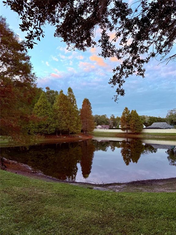 Image 50 of property listing at 6517 SPRING OAK COURT, Tampa, FL 33625