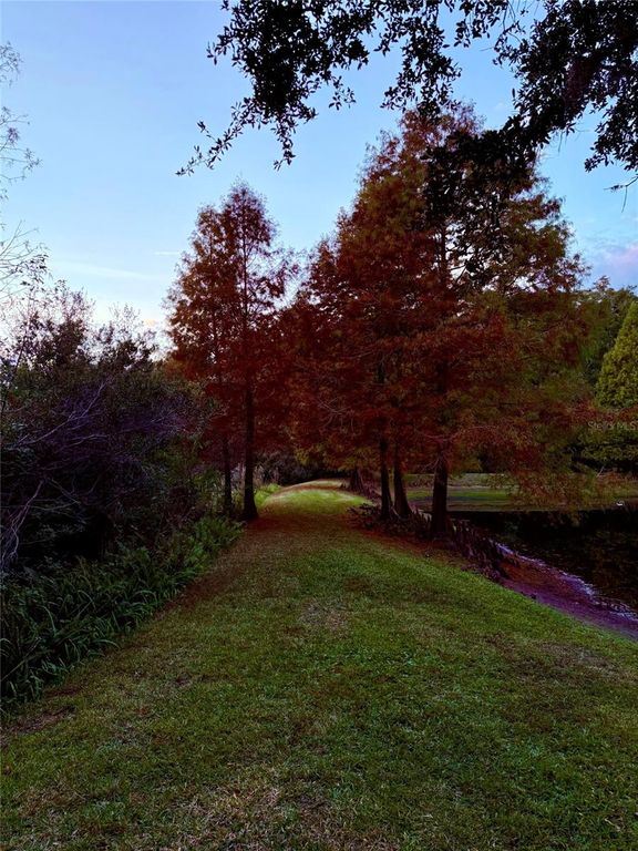 Image 51 of property listing at 6517 SPRING OAK COURT, Tampa, FL 33625