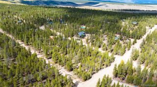 247 Juniper Drive, Twin Lakes, CO 80461