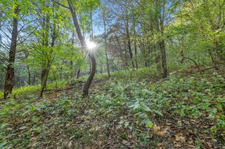 0 Tate Road, Fayetteville, TN 37334
