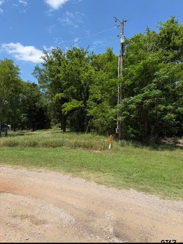 0000 Waterfront Row, Quitman, TX 75783