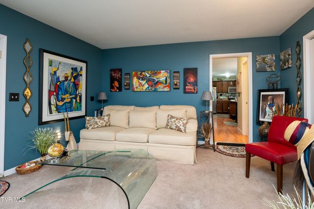 105 May Apple Drive, Bluff City, TN 37618