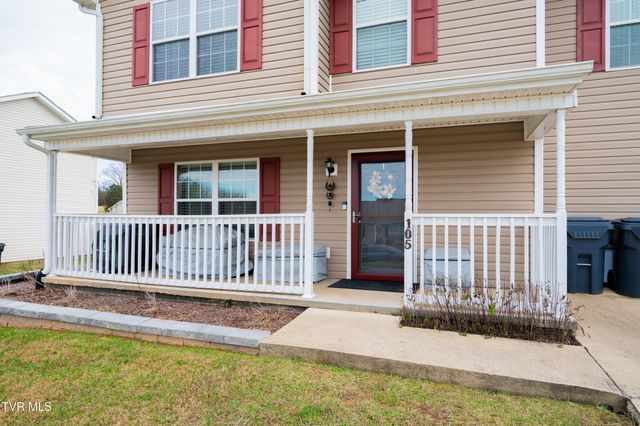 105 May Apple Drive, Bluff City, TN 37618