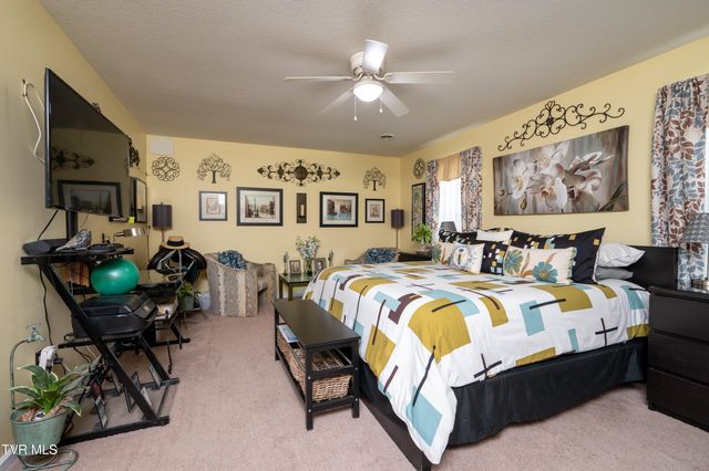 105 May Apple Drive, Bluff City, TN 37618