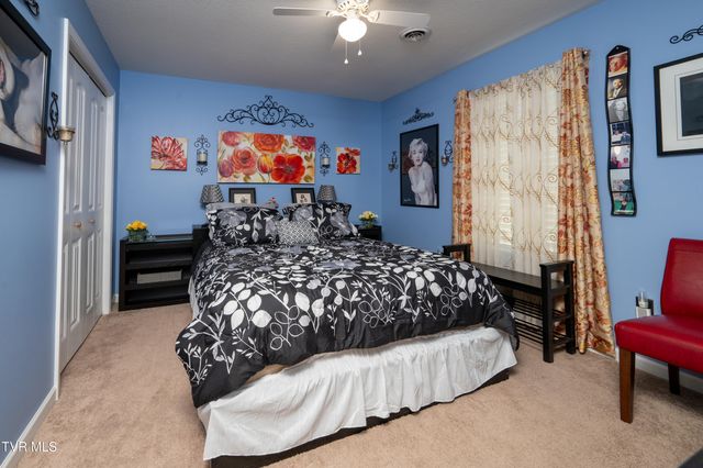 105 May Apple Drive, Bluff City, TN 37618
