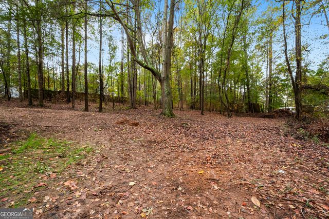 165 Fox Hunt Court, Fayetteville, GA 30214