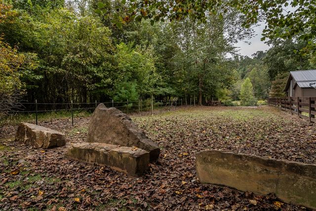 1994 Douthit Road, Mineral Bluff, GA 30559