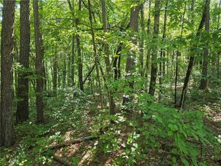 0 Harley Trail, Ball Ground, GA 30107