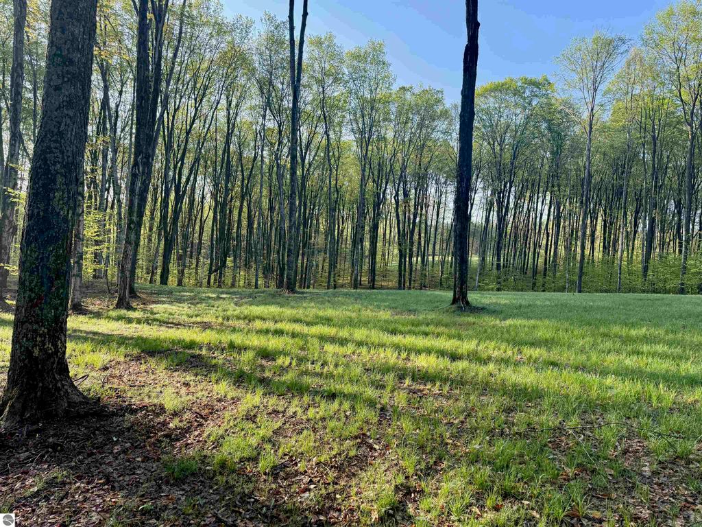 Wooded landscape with diverse hardwoods, grassy clearing, and sloping terrain in Brightland Woods, Maple City, MI, ideal for home design and natural privacy.