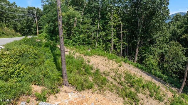 1315 Garrett Drive, Gatlinburg, TN 37738