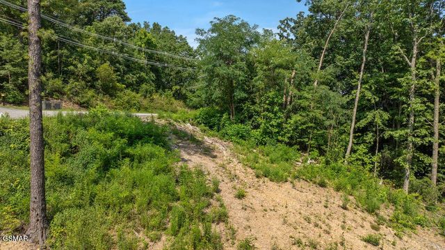 1315 Garrett Drive, Gatlinburg, TN 37738