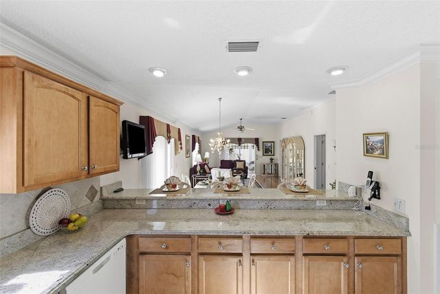 1154 ELIZABETH COURT, The Villages, FL 32162