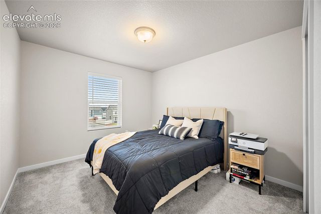 8210 Nutterbutter Point, Colorado Springs, CO 80925