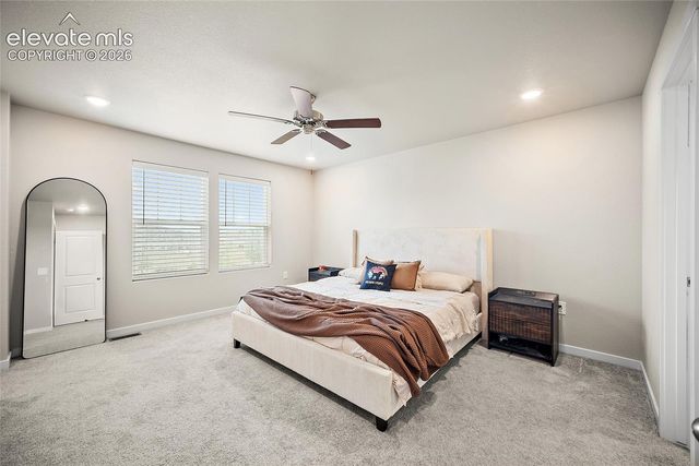 8210 Nutterbutter Point, Colorado Springs, CO 80925