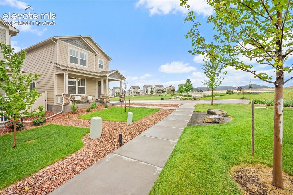 8210 Nutterbutter Point, Colorado Springs, CO 80925 — photo 3