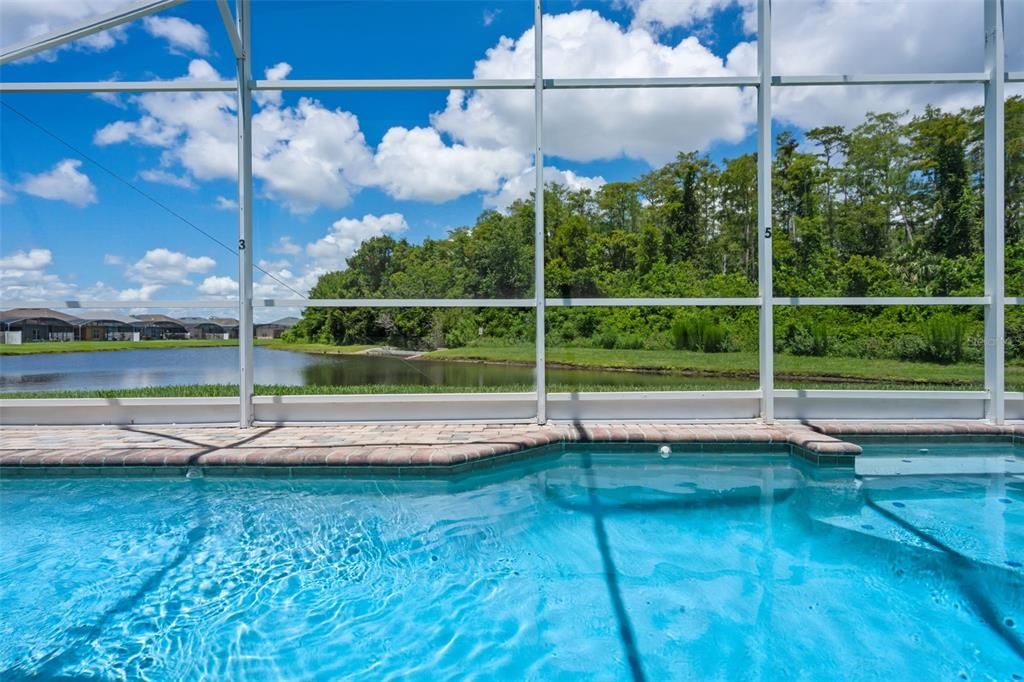 Image 43 of property listing at 156 MAGIC LANDINGS BOULEVARD, Kissimmee, FL 34744