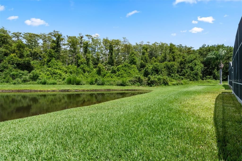 Image 47 of property listing at 156 MAGIC LANDINGS BOULEVARD, Kissimmee, FL 34744