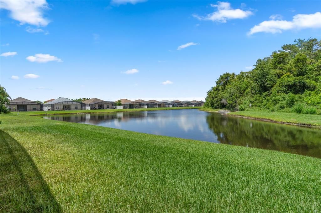 Image 48 of property listing at 156 MAGIC LANDINGS BOULEVARD, Kissimmee, FL 34744