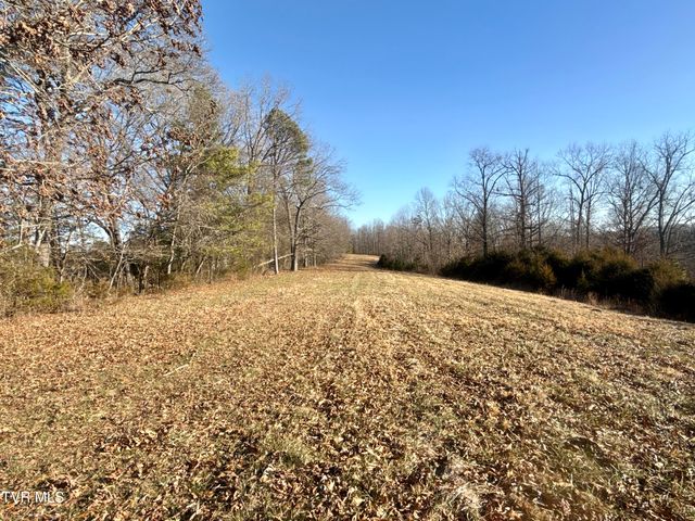 6181 Poplar Springs Road, Greeneville, TN 37743